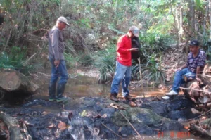 Menemani Geologist Turki di Kalimantan